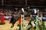 Cracker - 00499